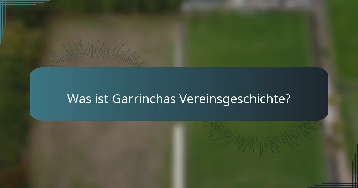 Was ist Garrinchas Vereinsgeschichte?